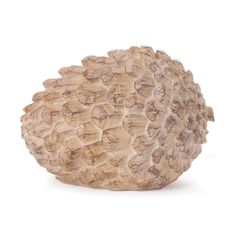 a large pine cone on a white background