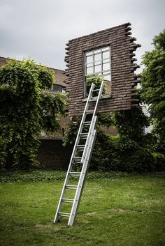 a ladder that is in the grass near a building with a window on it's side