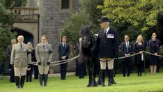 a group of people standing next to each other near a horse