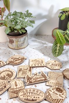 several wooden coasters sitting on top of a table next to potted plantes