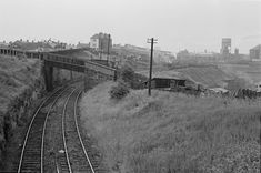 black and white photograph of train tracks in rural area