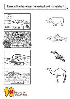 an animal and its habitat worksheet for kids to learn how to draw it