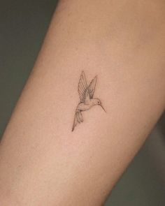 a small bird tattoo on the arm