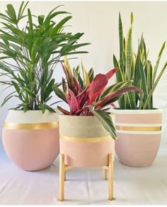 three potted plants sitting on top of each other