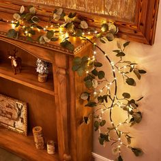 a wooden book shelf with christmas lights on it and greenery growing out of the top