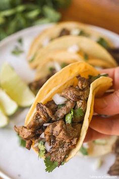 Carne Asada Street Tacos and VIDEO- Eating on a Dime Street Taco Recipe, Asada Tacos, Carne Asada Tacos, Frijoles Refritos, Steak Tacos, Street Tacos, Crock Pot Recipes