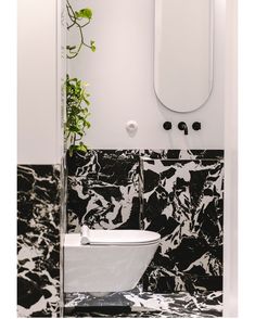 a white toilet sitting in a bathroom next to a mirror and plant on the wall