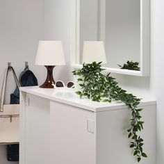 a plant is growing on top of a white cabinet next to a lamp and mirror