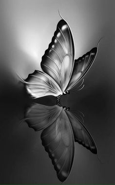 a black and white photo of a butterfly with its wings spread out in the air