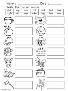 worksheet for writing the correct words in english with pictures to print and color