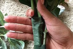 a person holding a bouquet of roses in their hand with the stems still attached to it