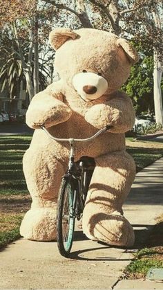 a large teddy bear sitting on the back of a bike next to a sidewalk with trees in the background