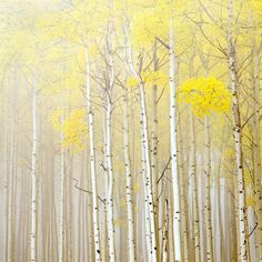 a painting of trees with yellow leaves on them