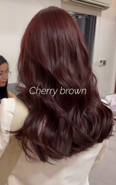 Hair Color For Chinese Women, Brown To Amber Hair, Hair Colors That Grow Out Well, Rustic Brown Hair Color, Red Brown Shag Hair, Hair Color That Makes Your Skin Lighter, Popular Korean Hair Color, Cool Tone Red Brown Hair, Medium Brown Red Hair Color