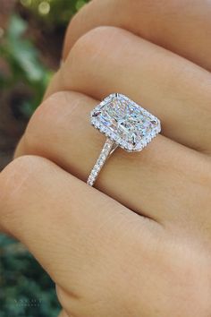 Halo Cut Engagement Ring, Ascot Diamonds, Halo Cut, Radiant Beauty, Engagement Ring Inspiration, Cubic Zirconia Engagement Rings