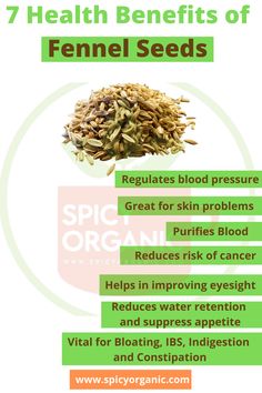 Fennel seeds,  Benefits of fennel seeds Hollistic Health, Mouth Freshener, Seeds Benefits, Aromatherapy Products, Digestion Process, Natural Healing Remedies