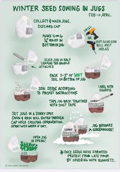 a poster with instructions on how to use seeding in juices and seasonings