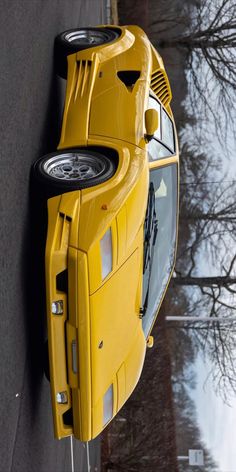 a yellow sports car parked on the side of a road next to a tree with no leaves