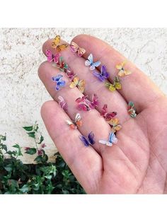 the tiny butterflies are being held in someone's hand