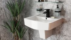 a bathroom sink sitting under a mirror next to a potted plant and toiletries