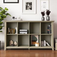 a book shelf with books and pictures on the wall next to a potted plant