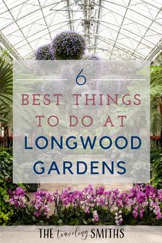 the words 6 best things to do at longwood gardens in front of purple flowers