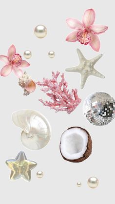 an assortment of seashells and starfish on a white background with pearls, pearles and flowers