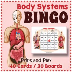 the body systems bingo game is shown with an image of a human torso and organs