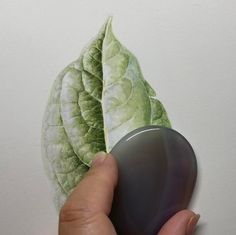 a hand holding a green leaf with a black stone in the foreground and a white wall behind it