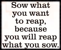 a quote that reads, sow what you want to reap because you will reap what you sow