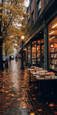 Fall In The City Aesthetic, Fall Gothic Aesthetic, Cozy Townhouse Interior, Dark Achadamia, Small Town Aesthetic Fall, Aesthetic City Pictures, Autumn City Aesthetic, Autumn Bookstore, Fall Neighborhood