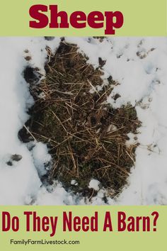 a pile of snow with the words do they need a barn?