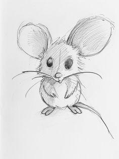 a pencil drawing of a mouse