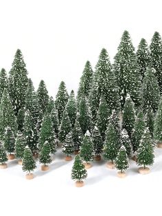 a group of small christmas trees with snow on them and one standing out from the crowd