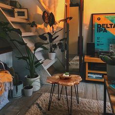 a living room filled with furniture and plants on top of a wooden table next to a stair case