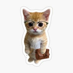 an orange kitten wearing glasses and holding a purse sticker