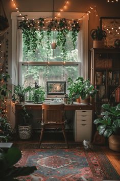 an office with plants and lights in the window sill, on top of a rug