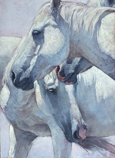 two white horses standing next to each other