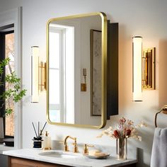 a bathroom with a sink, mirror and plants on the counter top in front of it