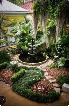 a garden with lots of trees and plants