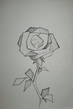 a drawing of a single rose on paper