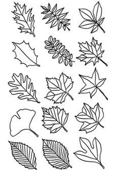 the leaves are drawn in black and white