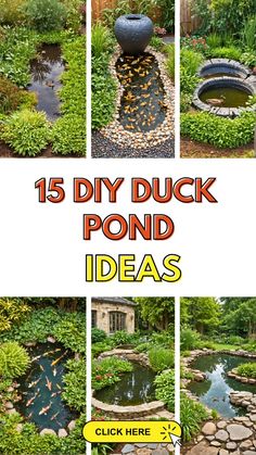 the cover of this book shows different types of pond designs