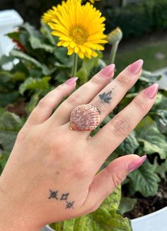 Say hello to the Autumn Tides Scallop Seashell Ring--your new coastal go-to. This scallop shell, wrapped in silver with its warm autumn vibes, brings a laid-back beachy feel straight to your hand. Perfect for adding a touch of the sea to your fall look, whether you're channeling endless summer days or embracing those cozy autumn nights. This ring effortlessly blends coastal charm with the timeless magic of the ocean All COVA CORAL shells are handpicked and carefully placed on adjustable ring ban Scallop Seashell, Seashell Ring, Coquille Saint Jacques, Scallop Shell, Autumn Night, Coastal Charm, Saint Jacques, Scallop Shells, Cozy Autumn