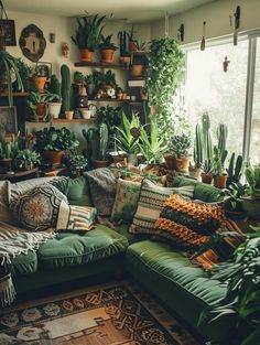 a living room filled with lots of potted plants