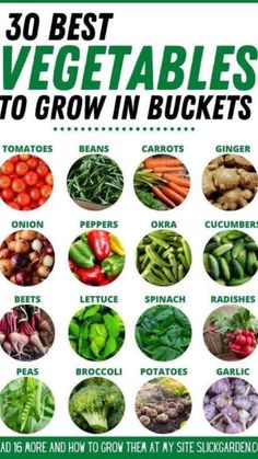 the 30 best veggies to grow in buckets poster is shown with many different vegetables