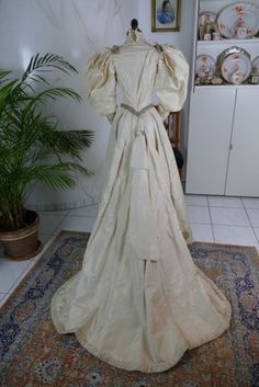 an antique dress on display in a room with potted plants and other items behind it