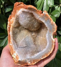 The product offered is Natural Agate Geode Stone. Gemstone: Agate Geode Stone Shape: Irregular Size(mm): 91x135x123 mm Weight:957 g Quantity: 1 piece Color: Transparent 1 in=25.4 mm 1 lb=453.59 g This item can be used as a Special art decoration for your home ,office or business, or as a special gift. If you need other size,please contact us,any size can be customized. If you want to see more goods, please click here. https://www.etsy.com/shop/CHMineralCollection?ref=hdr_shop_men Payment I curre Large Agate Geode For Spiritual Purposes, Large Agate Geode For Spiritual Use, Agate Natural Stone Crystal As A Gift, Agate Natural Stones Crystals As Gift, Natural Agate Crystal Stones As Gift, Agate Crystal With Natural Stones For Gift, Handmade White Agate Geodes, Spiritual Agate Geodes With Natural Stones, Spiritual Agate Geodes Gift