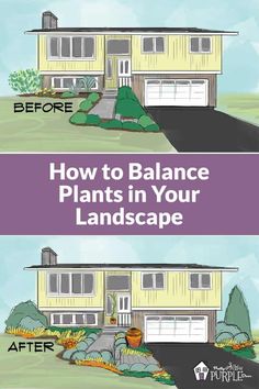 two houses with the words how to balance plants in your landscape, and before after