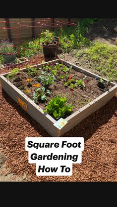 a square foot garden with plants growing in it and the words, how to prepare for square foot gardening